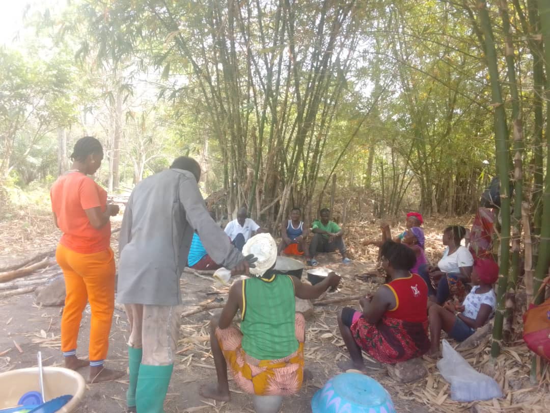 Weeding of farm - Tonkolili